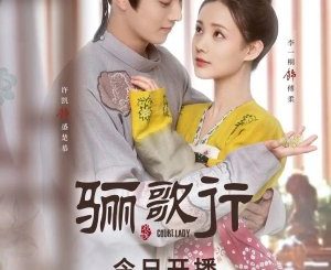  Drama China Court Lady Subtitle Indonesia