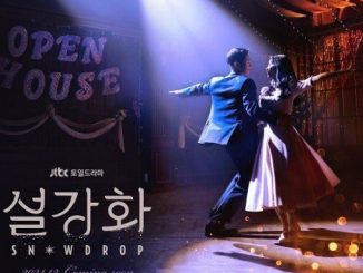 Download Drama Korea Snowdrop Subtitle Indonesia